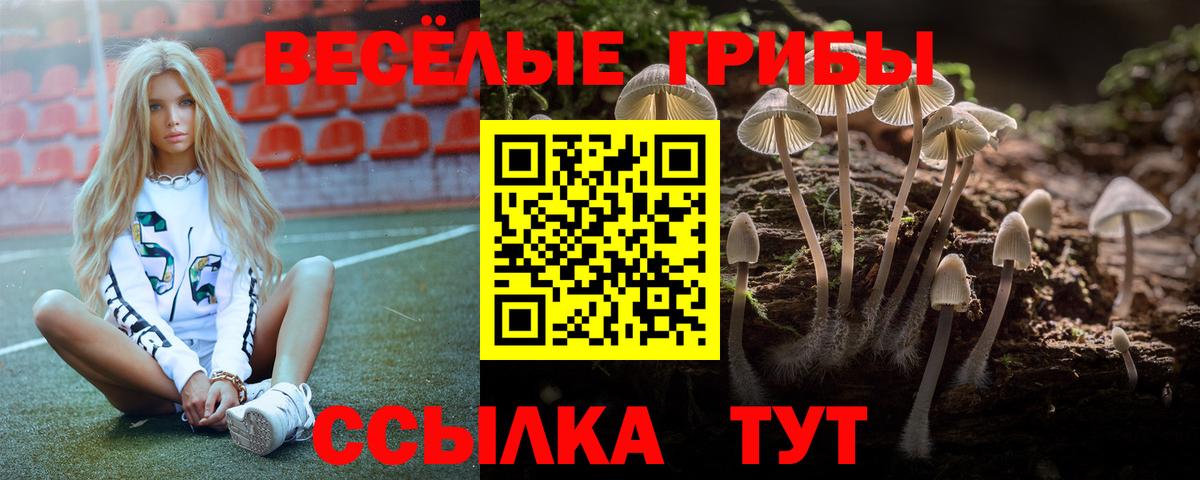 Галлюциногенные грибы Magic Shrooms  Вход с VPN  Видное  Галлюциногенные грибы GOLDEN TEACHER 
