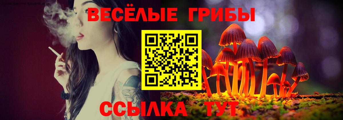 Галлюциногенные грибы ЛСД Видное